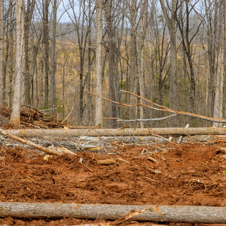 Equipment Rental in Houston, TX Equipment Rental in Houston, TX